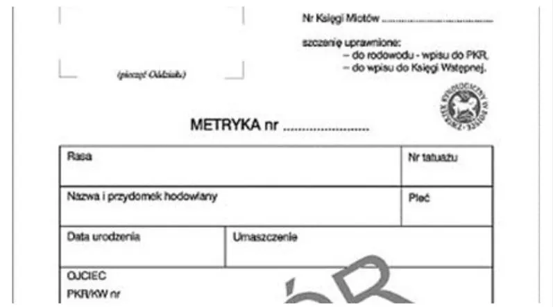 Fragment wzoru metryki ZKwP przedstawiającego rodowód psa